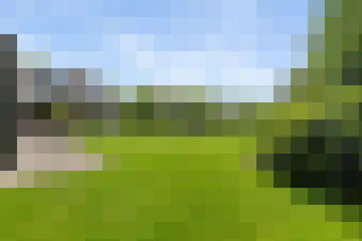 Dalkruid 4 Heerenveen thumbnail 37