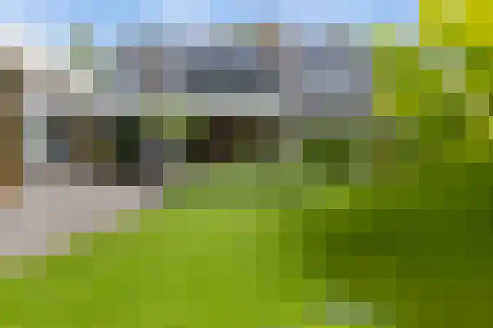 Dalkruid 4 Heerenveen thumbnail 38