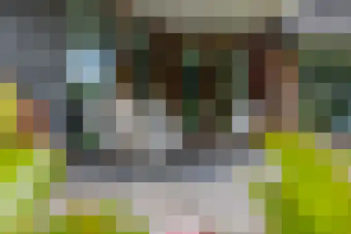 Dalkruid 4 Heerenveen thumbnail 39