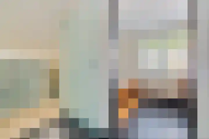 Dalkruid 4 Heerenveen thumbnail 4