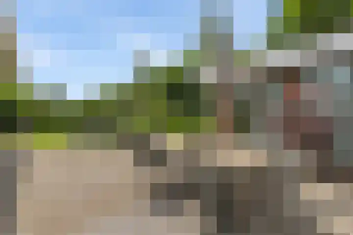 Dalkruid 4 Heerenveen thumbnail 40