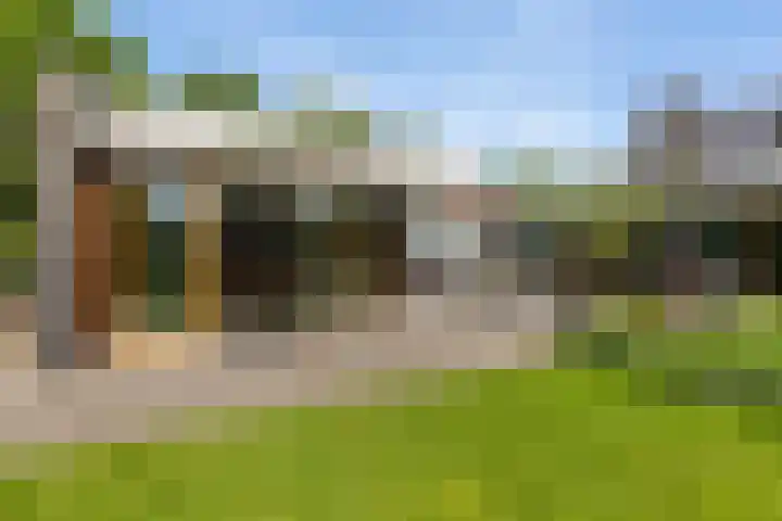 Dalkruid 4 Heerenveen thumbnail 41