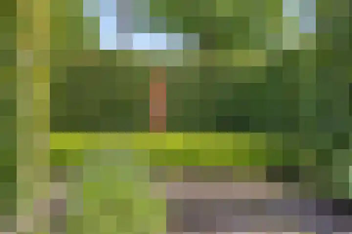 Dalkruid 4 Heerenveen thumbnail 44
