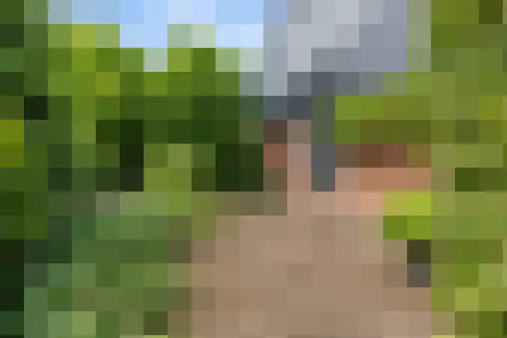 Dalkruid 4 Heerenveen thumbnail 46