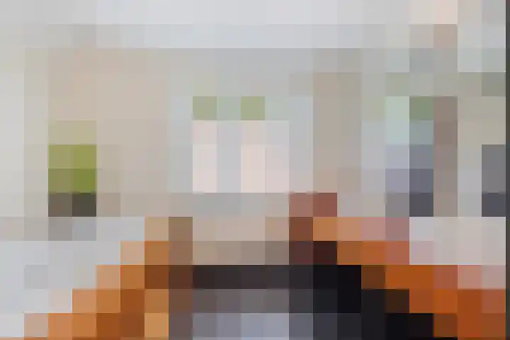 Dalkruid 4 Heerenveen thumbnail 55