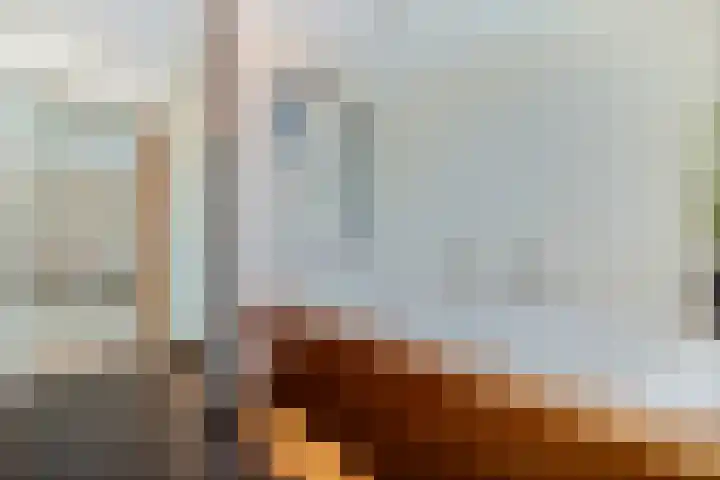 Dalkruid 4 Heerenveen thumbnail 56