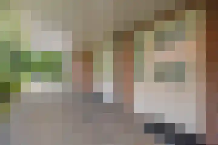 Dalkruid 4 Heerenveen thumbnail 6