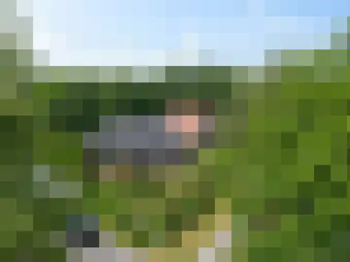 Dalkruid 4 Heerenveen thumbnail 65