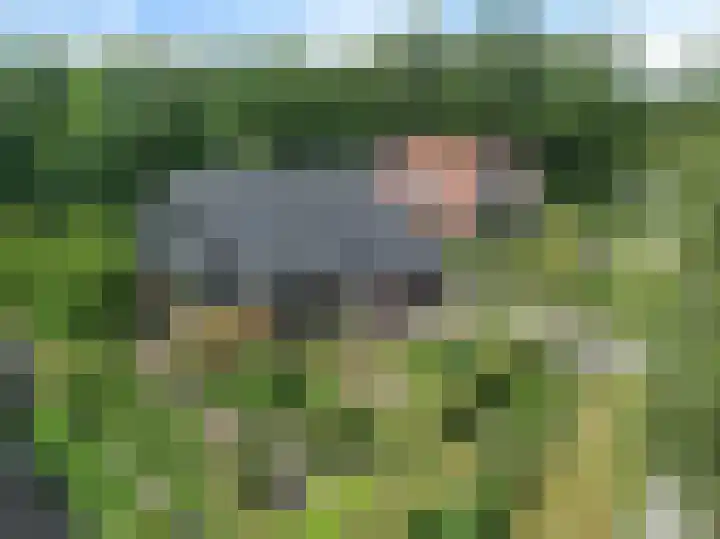 Dalkruid 4 Heerenveen thumbnail 66