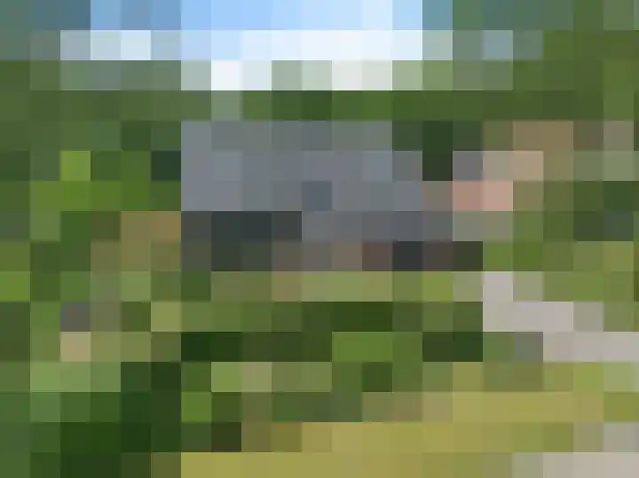 Dalkruid 4 Heerenveen thumbnail 67