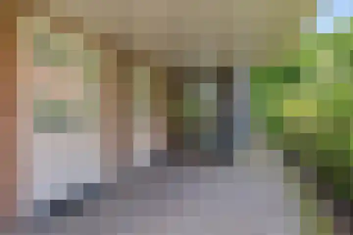 Dalkruid 4 Heerenveen thumbnail 7