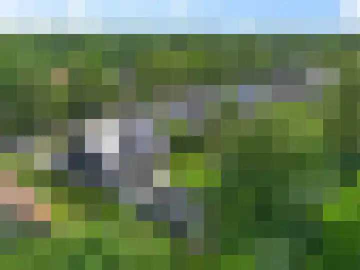 Dalkruid 4 Heerenveen thumbnail 70