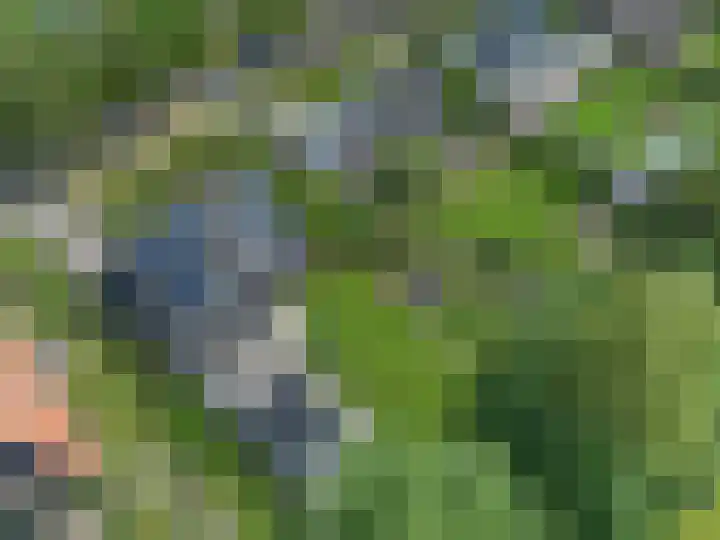 Dalkruid 4 Heerenveen thumbnail 71