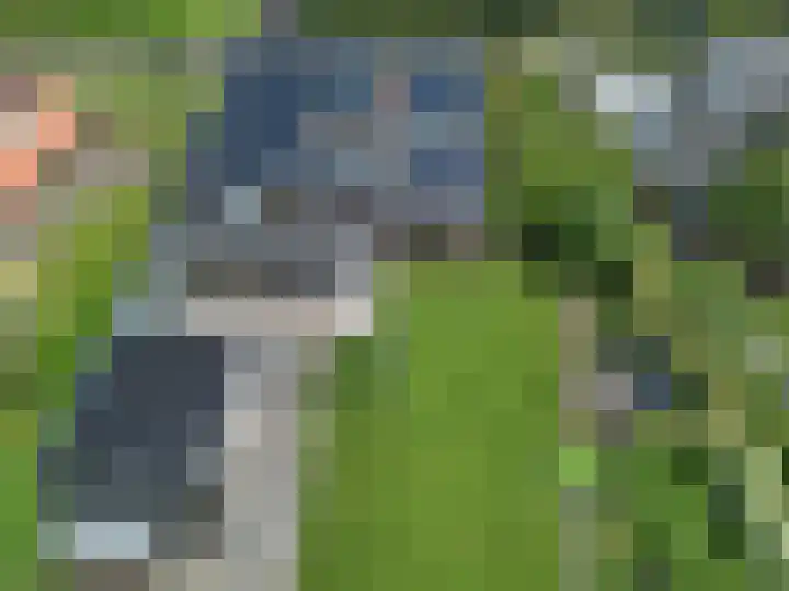 Dalkruid 4 Heerenveen thumbnail 73