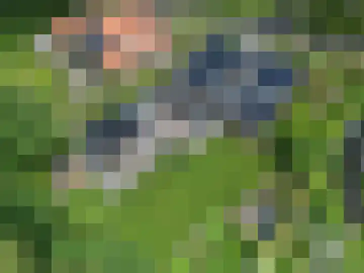 Dalkruid 4 Heerenveen thumbnail 74