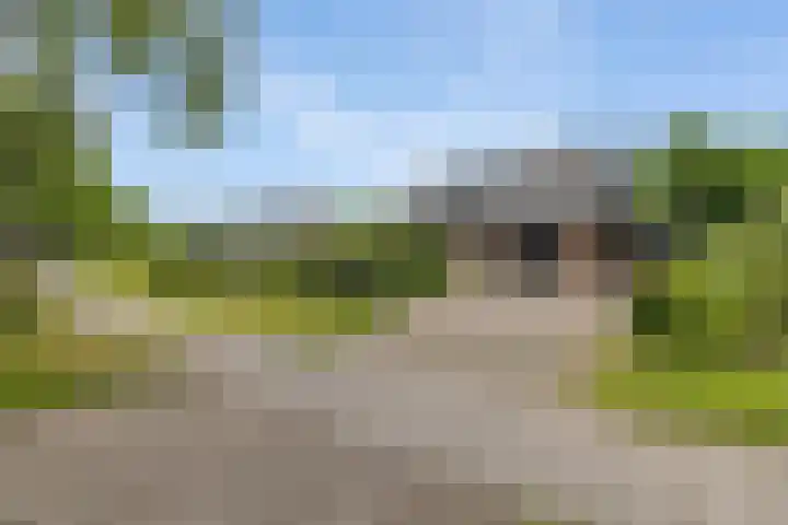 Dalkruid 4 Heerenveen thumbnail 8