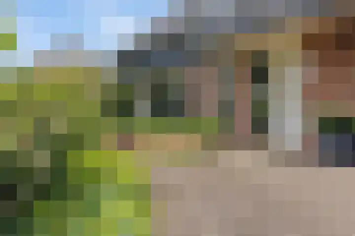 Dalkruid 4 Heerenveen thumbnail 9