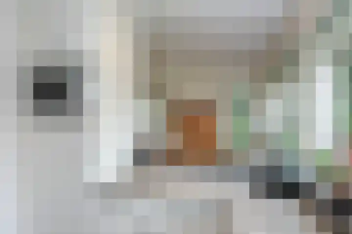 Dalkruid 40 Delden thumbnail 11