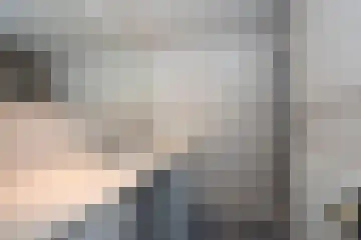 Dalkruid 40 Delden thumbnail 17