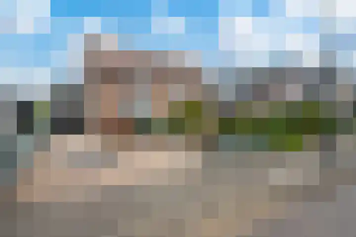 Dalkruid 40 Delden foto 2