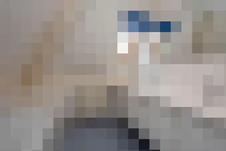 Dalkruid 40 Delden thumbnail 23