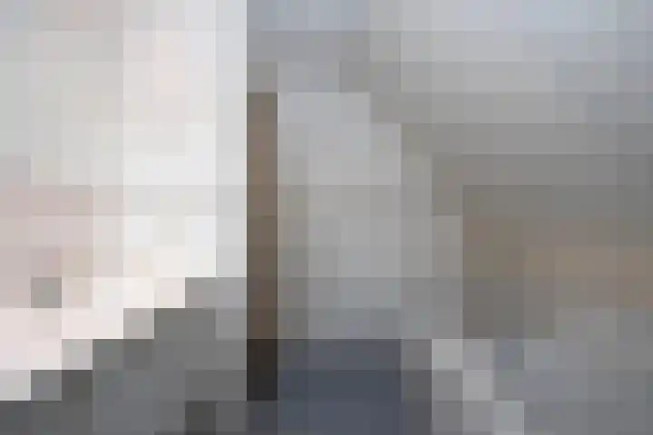 Dalkruid 40 Delden thumbnail 25