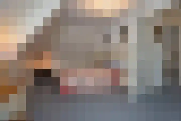 Dalkruid 40 Delden thumbnail 26