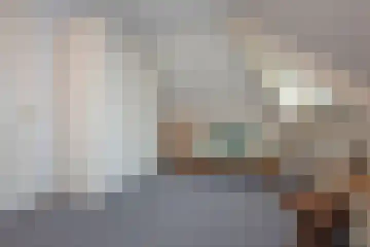 Dalkruid 40 Delden thumbnail 27