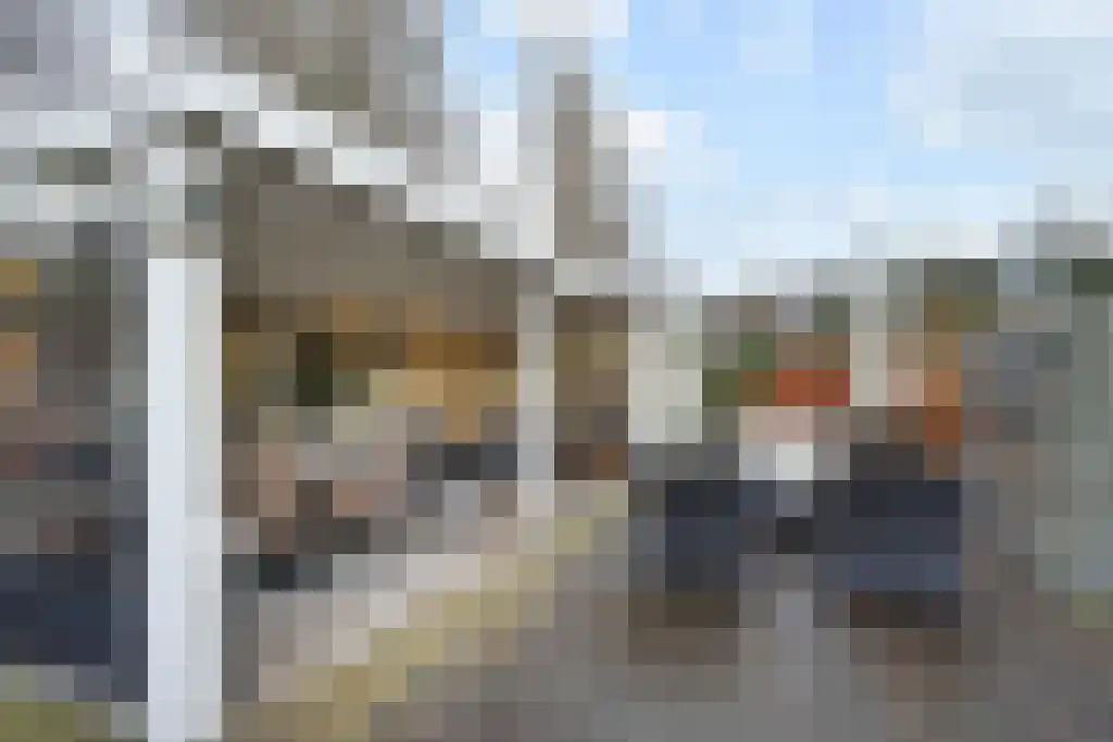 Dalkruid 40 Delden thumbnail 29
