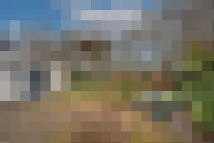 Dalkruid 40 Delden thumbnail 29