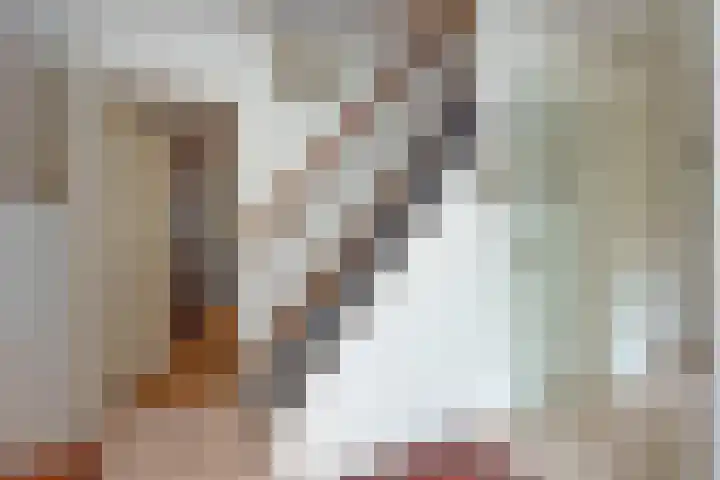 Dalkruid 40 Delden foto 3