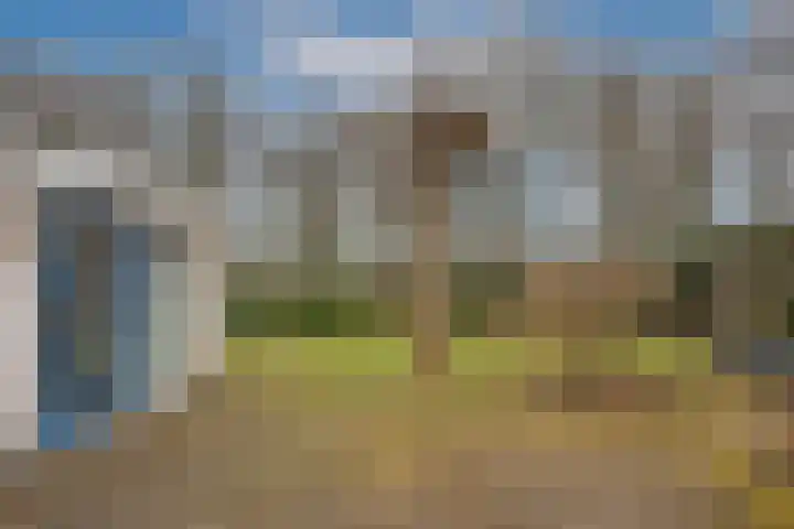 Dalkruid 40 Delden thumbnail 31