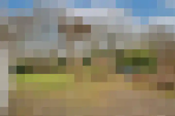 Dalkruid 40 Delden thumbnail 32