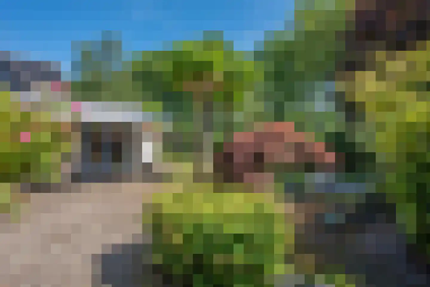 Dalkruid 40 Delden thumbnail 32