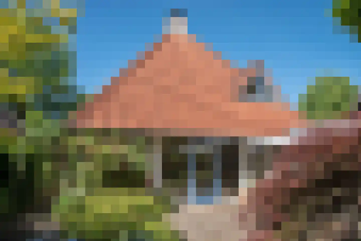 Dalkruid 40 Delden thumbnail 34