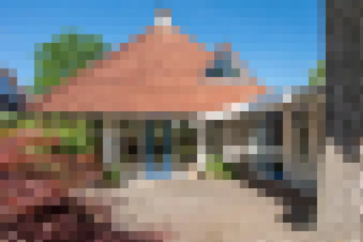Dalkruid 40 Delden thumbnail 36
