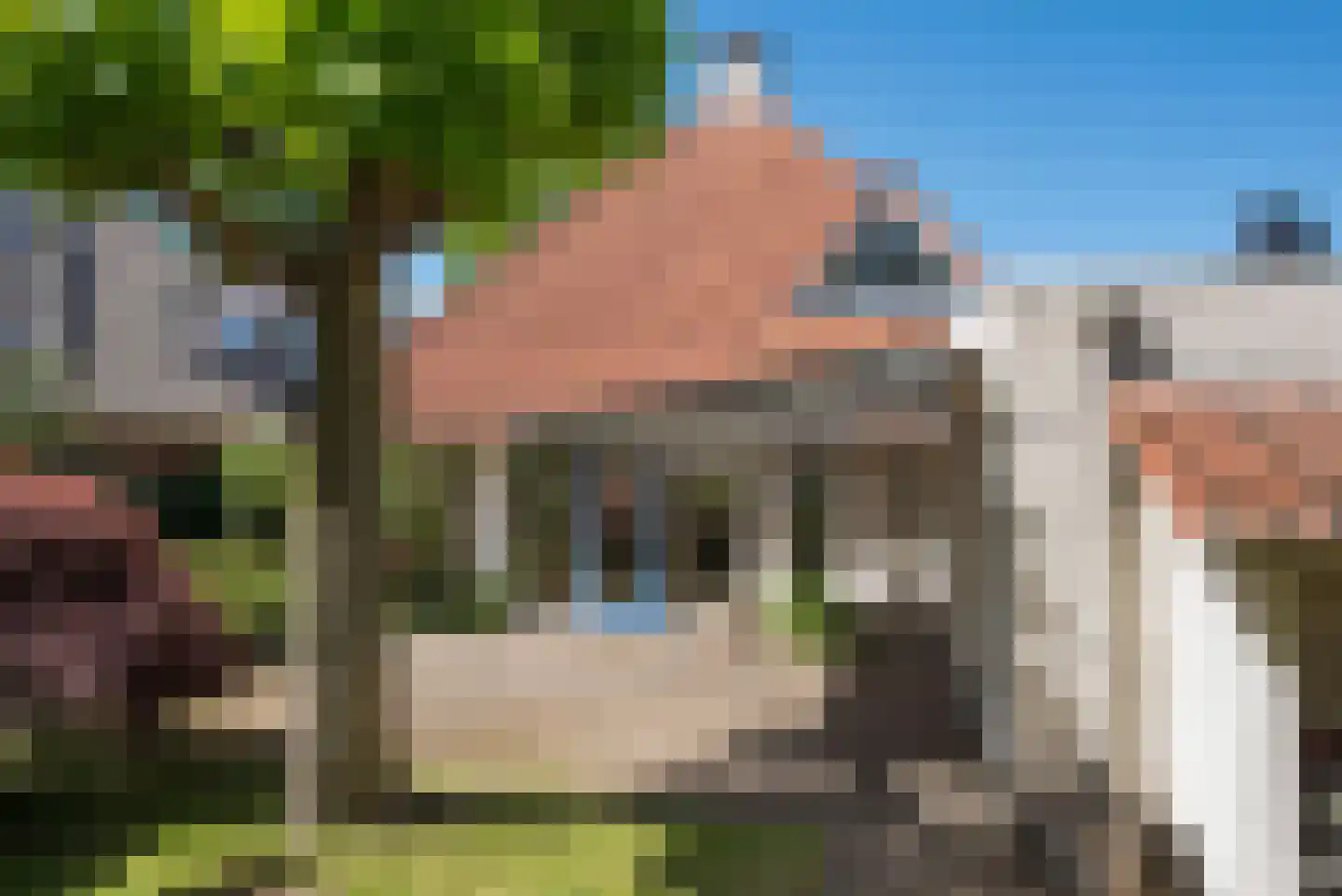 Dalkruid 40 Delden thumbnail 37