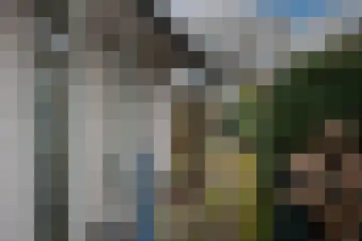 Dalkruid 40 Delden thumbnail 37