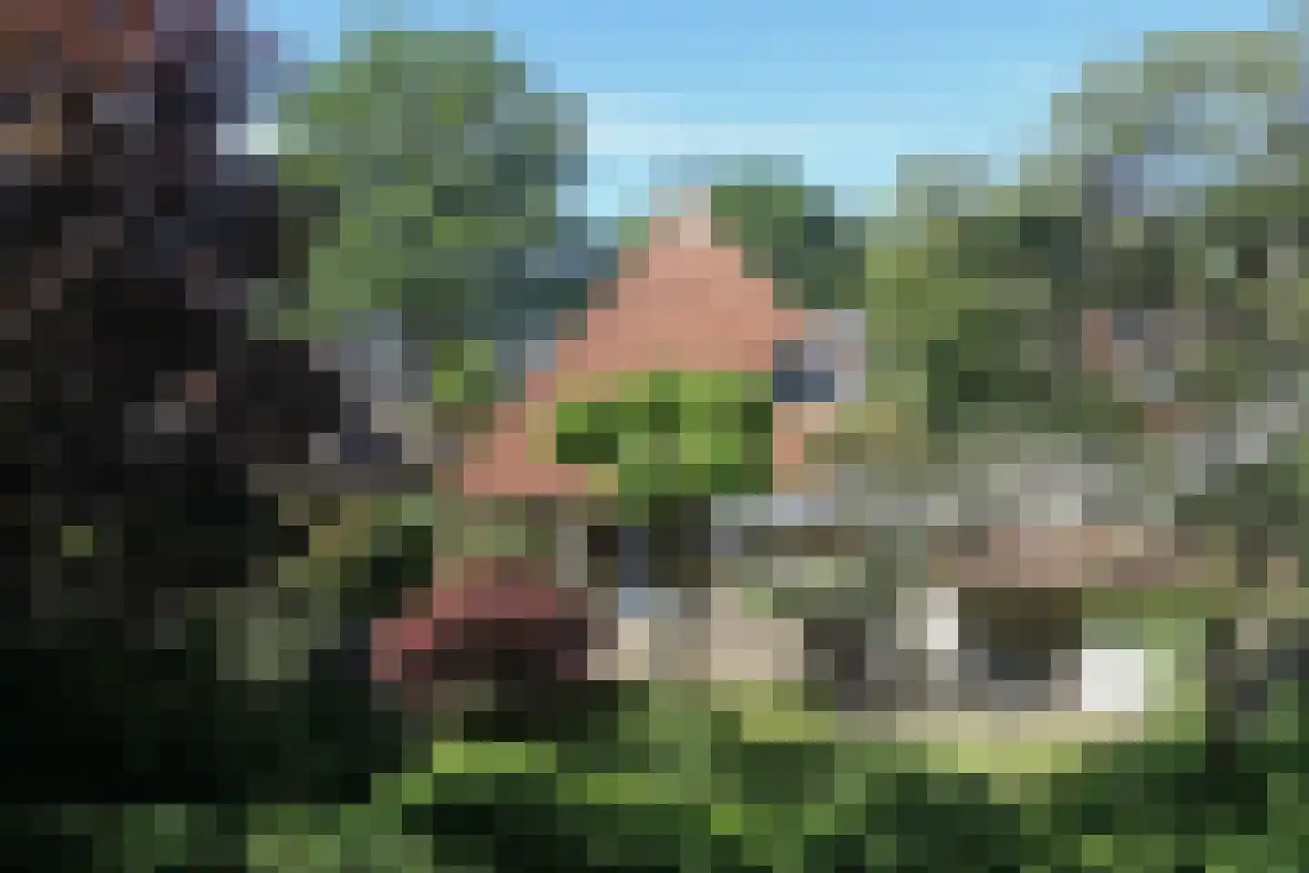 Dalkruid 40 Delden thumbnail 38