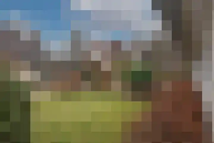 Dalkruid 40 Delden thumbnail 38