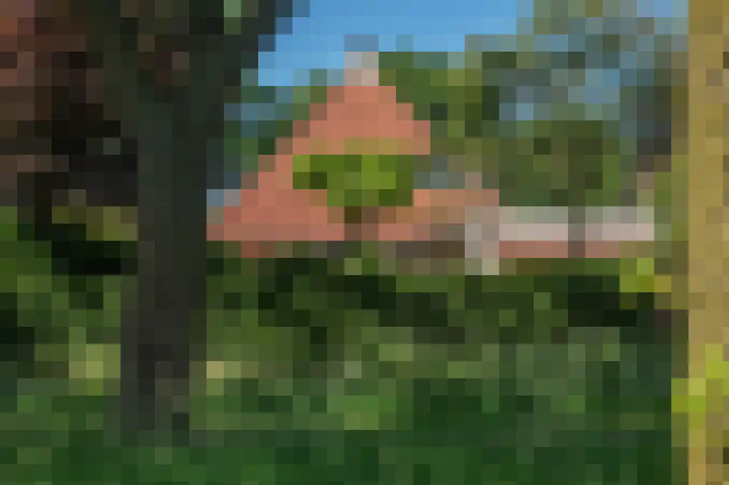 Dalkruid 40 Delden thumbnail 39