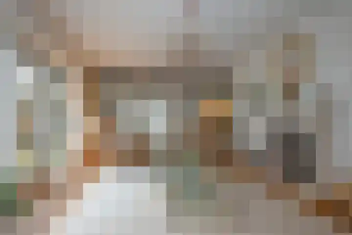 Dalkruid 40 Delden thumbnail 4