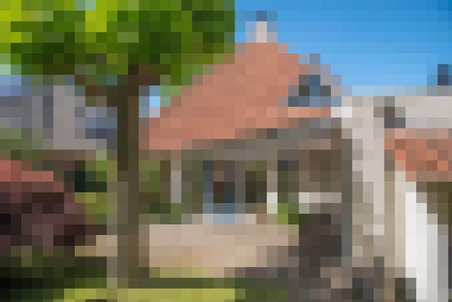 Dalkruid 40 Delden thumbnail 4