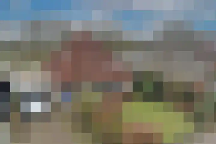 Dalkruid 40 Delden thumbnail 41
