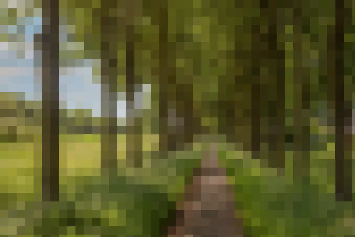 Dalkruid 40 Delden thumbnail 41