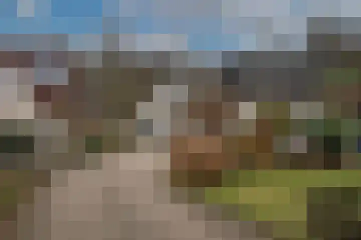 Dalkruid 40 Delden thumbnail 42