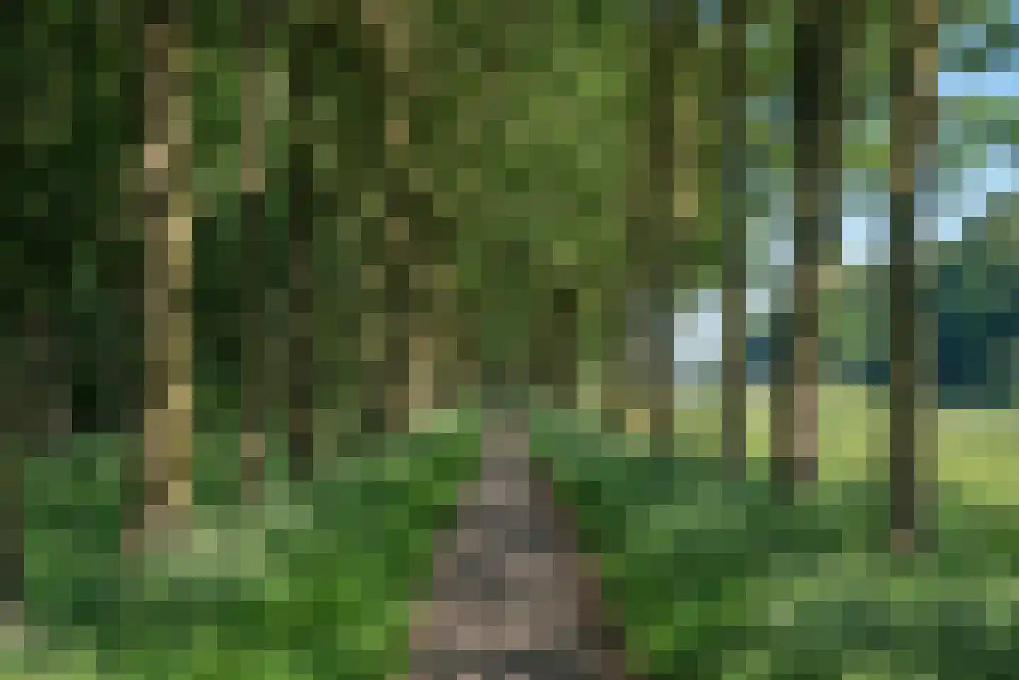 Dalkruid 40 Delden thumbnail 42