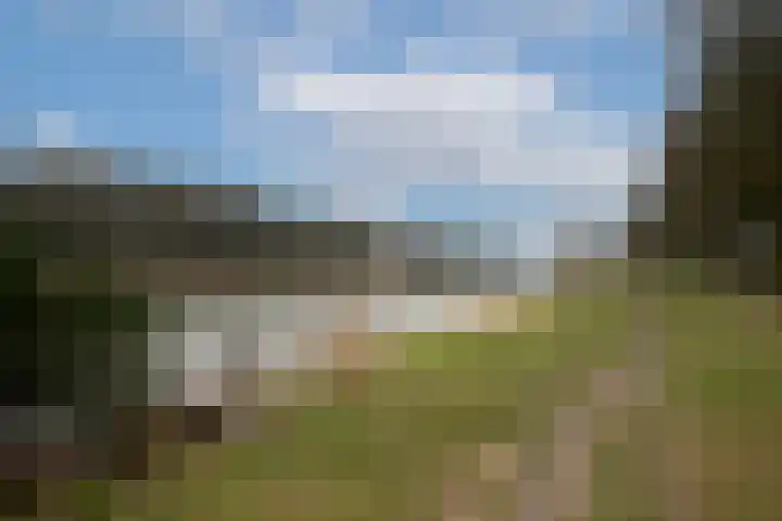 Dalkruid 40 Delden thumbnail 43