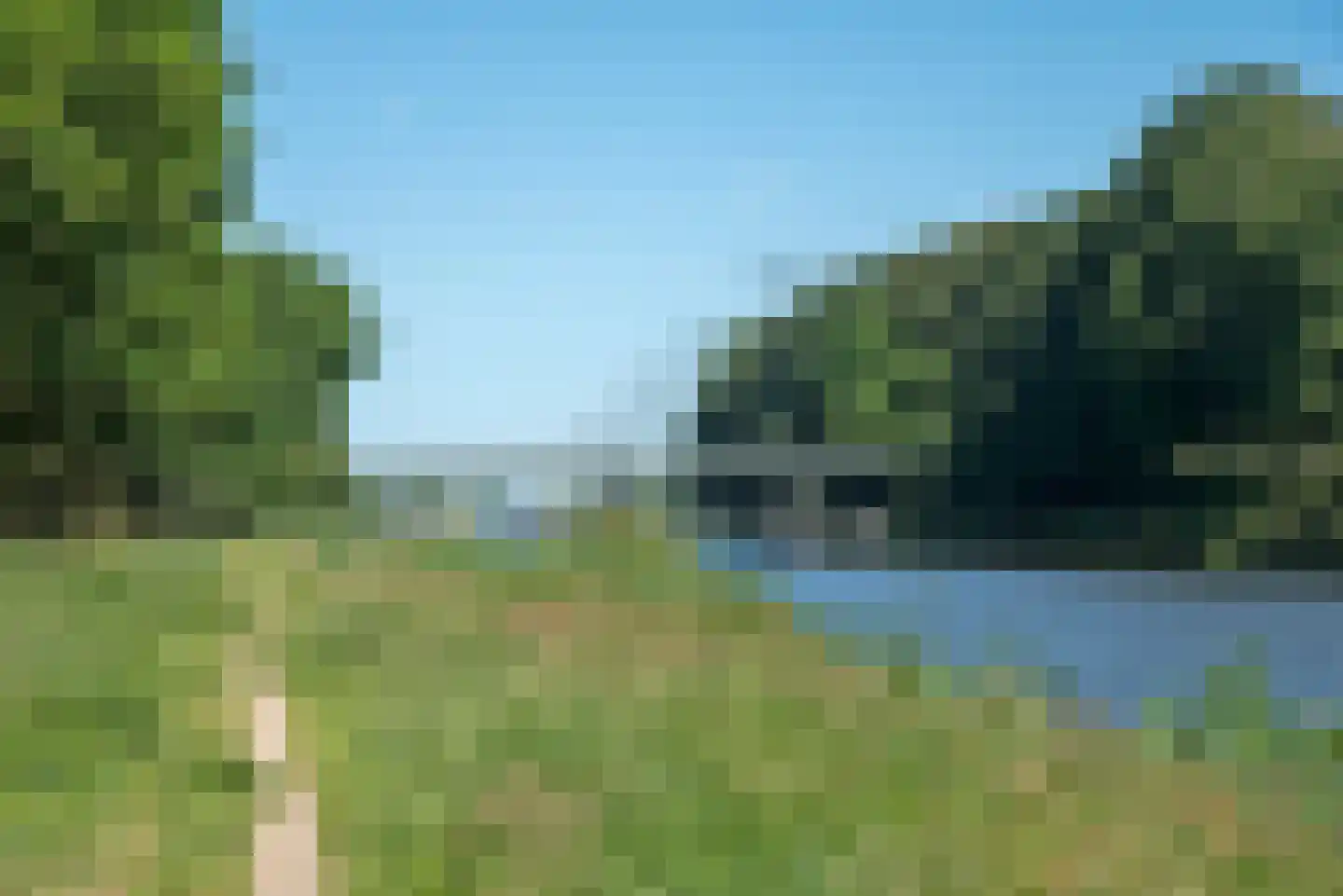 Dalkruid 40 Delden thumbnail 43