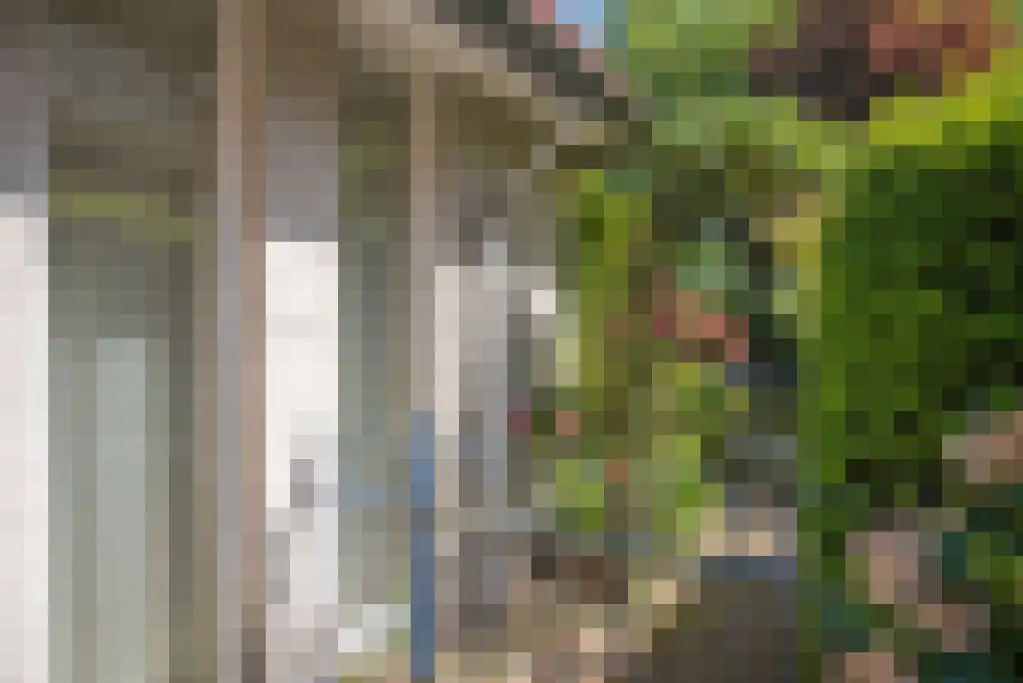 Dalkruid 40 Delden thumbnail 44